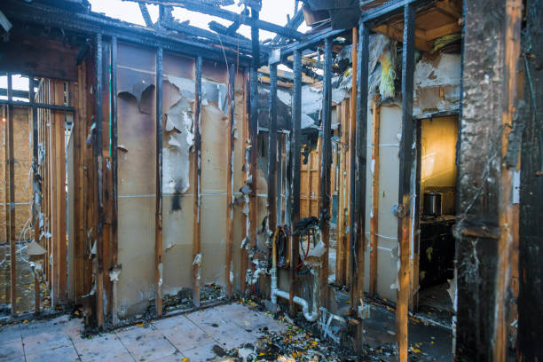 Professional Smoke Damage Removal technician working in Nome, AK